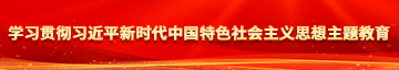 爱爱打炮影院黑丝学习贯彻习近平新时代中国特色社会主义思想主题教育