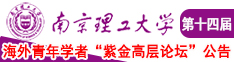 操逼免费资源网操逼免费南京理工大学第十四届海外青年学者紫金论坛诚邀海内外英才！